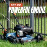 SENIX 21-Inch Gas Push Lawn Mower with Briggs & Stratton