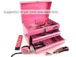 Apollo Tools 14-Inch Pink Steel Tool Box
