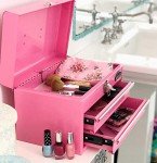 Apollo Tools 14-Inch Pink Steel Tool Box