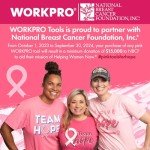 WORKPRO 12V Electric Screwdriver Set with Pink Tape
