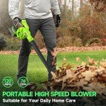 20V Cordless Leaf Blower with Battery & Charger