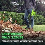 20V Cordless Leaf Blower with Battery & Charger