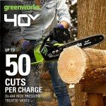 Greenworks 40V 14” Chainsaw with Battery & Charger