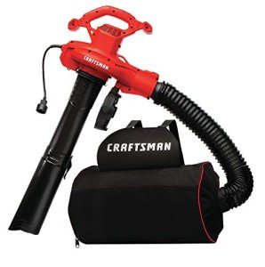 CRAFTSMAN 3-in-1 Leaf Blower and Vacuum