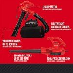 CRAFTSMAN 3-in-1 Leaf Blower and Vacuum