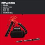 CRAFTSMAN 3-in-1 Leaf Blower and Vacuum