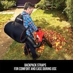 CRAFTSMAN 3-in-1 Leaf Blower and Vacuum
