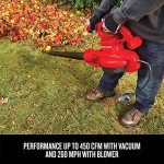 CRAFTSMAN 3-in-1 Leaf Blower and Vacuum