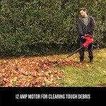 CRAFTSMAN 3-in-1 Leaf Blower and Vacuum