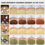 Electric Grain Mill Grinder - 1000g Stainless Steel