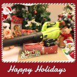 SnapFresh 20V Cordless Leaf Blower with Battery