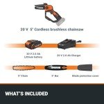 Worx 20V Cordless Mini Chainsaw with Battery