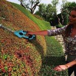 DURATECH 20V Cordless Grass & Hedge Trimmer