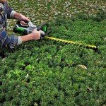 EGO Power+ 24-Inch Cordless Hedge Trimmer