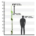 Earthwise 20-Inch Cordless Pole Hedge Trimmer