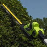 Earthwise 20-Inch Cordless Pole Hedge Trimmer