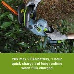 WORKPRO 20V Cordless Hedge Trimmer with Quick Charger
