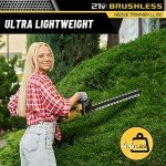 Cordless 20'' Hedge Trimmer with Battery & Charger