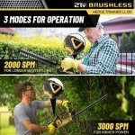 Cordless 20'' Hedge Trimmer with Battery & Charger