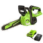 Greenworks 24V 10" Cordless Chainsaw with Battery
