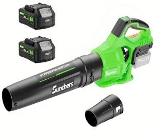 Cordless Leaf Blower with 2 Batteries and Charger