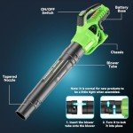 Cordless Leaf Blower with 2 Batteries and Charger