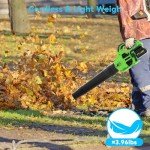 Cordless Leaf Blower with 2 Batteries and Charger