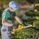 21V Cordless Hedge Trimmer with Battery & Charger