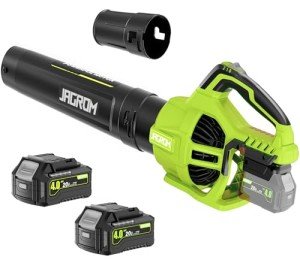 Cordless Leaf Blower with Batteries and Charger