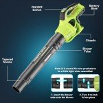 Cordless Leaf Blower with Batteries and Charger