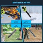 Cordless Leaf Blower with Batteries and Charger