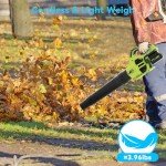 Cordless Leaf Blower with Batteries and Charger
