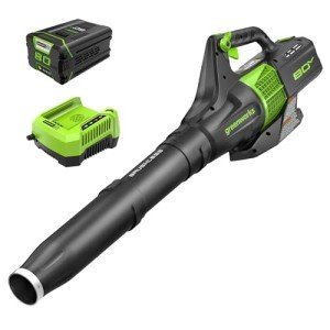 Greenworks 80V Cordless Brushless Leaf Blower with Battery