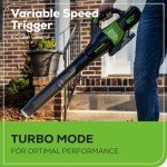 Greenworks 80V Cordless Brushless Leaf Blower with Battery