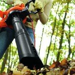BLACK+DECKER 3-in-1 Leaf Blower and Vacuum