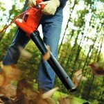 BLACK+DECKER 3-in-1 Leaf Blower and Vacuum