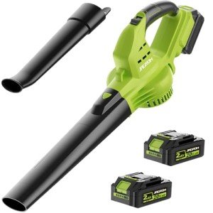 Cordless Leaf Blower with 2 Batteries and Charger