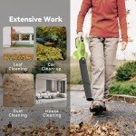Cordless Leaf Blower with 2 Batteries and Charger