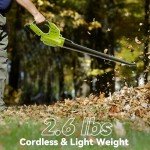 Cordless Leaf Blower with 2 Batteries and Charger