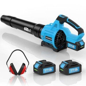 Cordless Leaf Blower 650 CFM, 2 Batteries Included