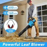 Cordless Leaf Blower 650 CFM, 2 Batteries Included