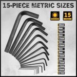31-Piece Hex Key Set with Torque Handle