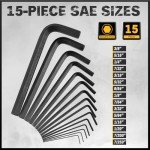 31-Piece Hex Key Set with Torque Handle