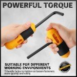 31-Piece Hex Key Set with Torque Handle