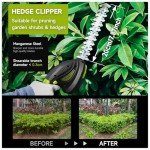 Cordless 2-in-1 Hedge Trimmer and Grass Shears