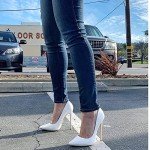 Silver Pointy Toe Stiletto High Heels for Women