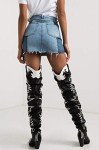 Cape Robbin Women's Over the Knee Western Cowboy Boots with Chunky Block Heels Fashion Cowgirl Dress Booties (KELSEY-21) - Black Size 10