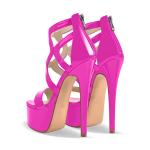 richealnini Women's Sexy Platform Stiletto High Heel Ankle Strap Wrap Strappy Sandals with Back Zipper Crisscross Open Peep Toe Slim Super High Heeled Party Pumps Shoes Matte Zipper Size 13