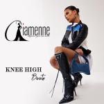 Knee High Boots for Women Fashion Slide Zipper Pointed Toe Stiletto Studded High Heel Rivets Tassel Boots Party Dress Shoes