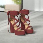 DREAM PAIRS Red Chunky Block Heels Sandals